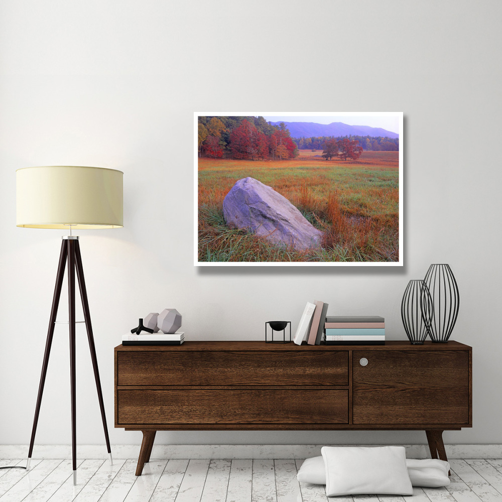 Boulder and autumn colored deciduous forest, Cades Cove, Great Smoky Mountains National Park, Tennessee-Paper Art-50&quotx38"