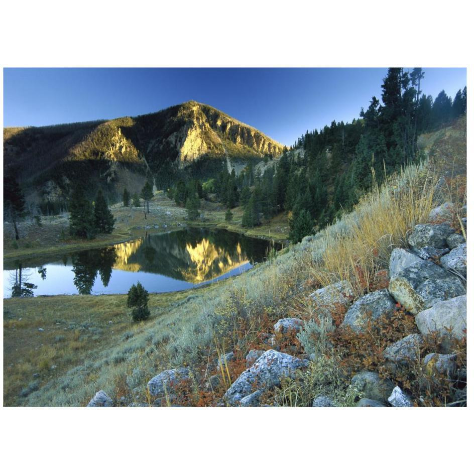 Bunsen Peak, an ancient volcano cone, reflected in lake, near Mammoth, Yellowstone National Park, Wyoming-Paper Art-26&quotx20"
