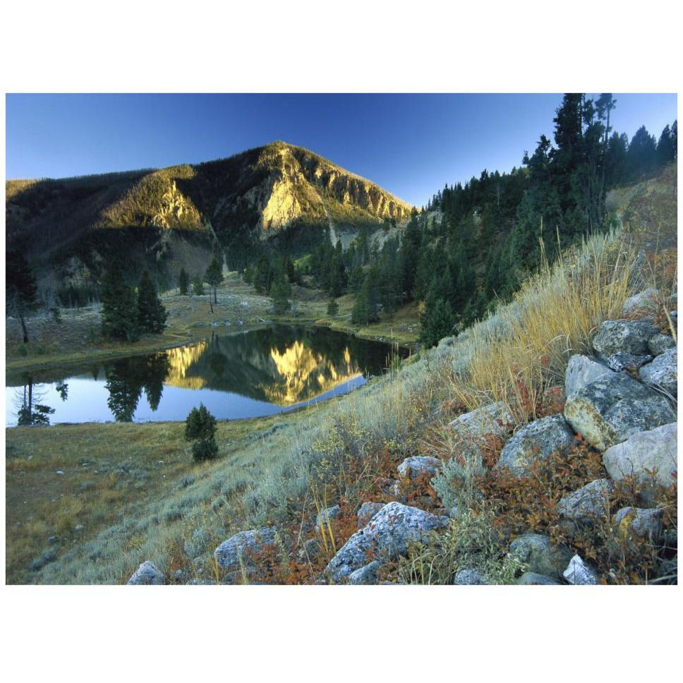 Bunsen Peak, an ancient volcano cone, reflected in lake, near Mammoth, Yellowstone National Park, Wyoming-Paper Art-42&quotx32"