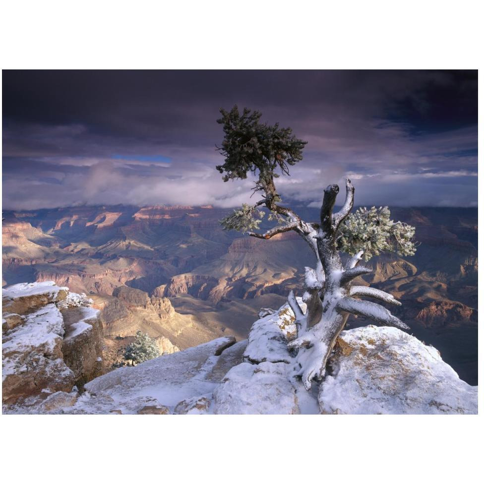South Rim of Grand Canyon with a dusting of snow seen from Yaki Point, Grand Canyon National Park, Arizona-Paper Art-50&quotx38"