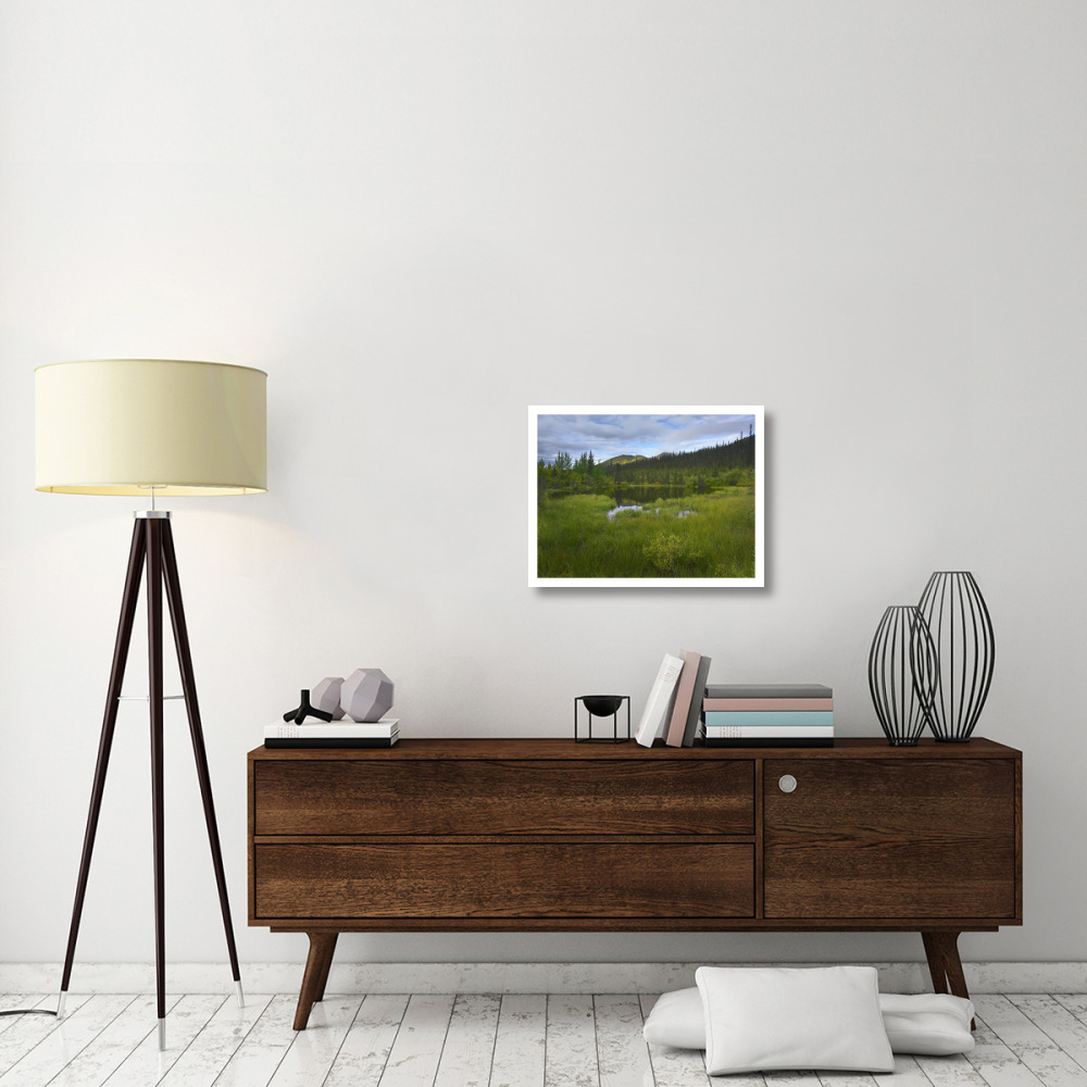 Boreal forest with pond and Antimony Mountain in the background, Ogilvie Mountains, Yukon Territory, Canada-Paper Art-26&quotx20"