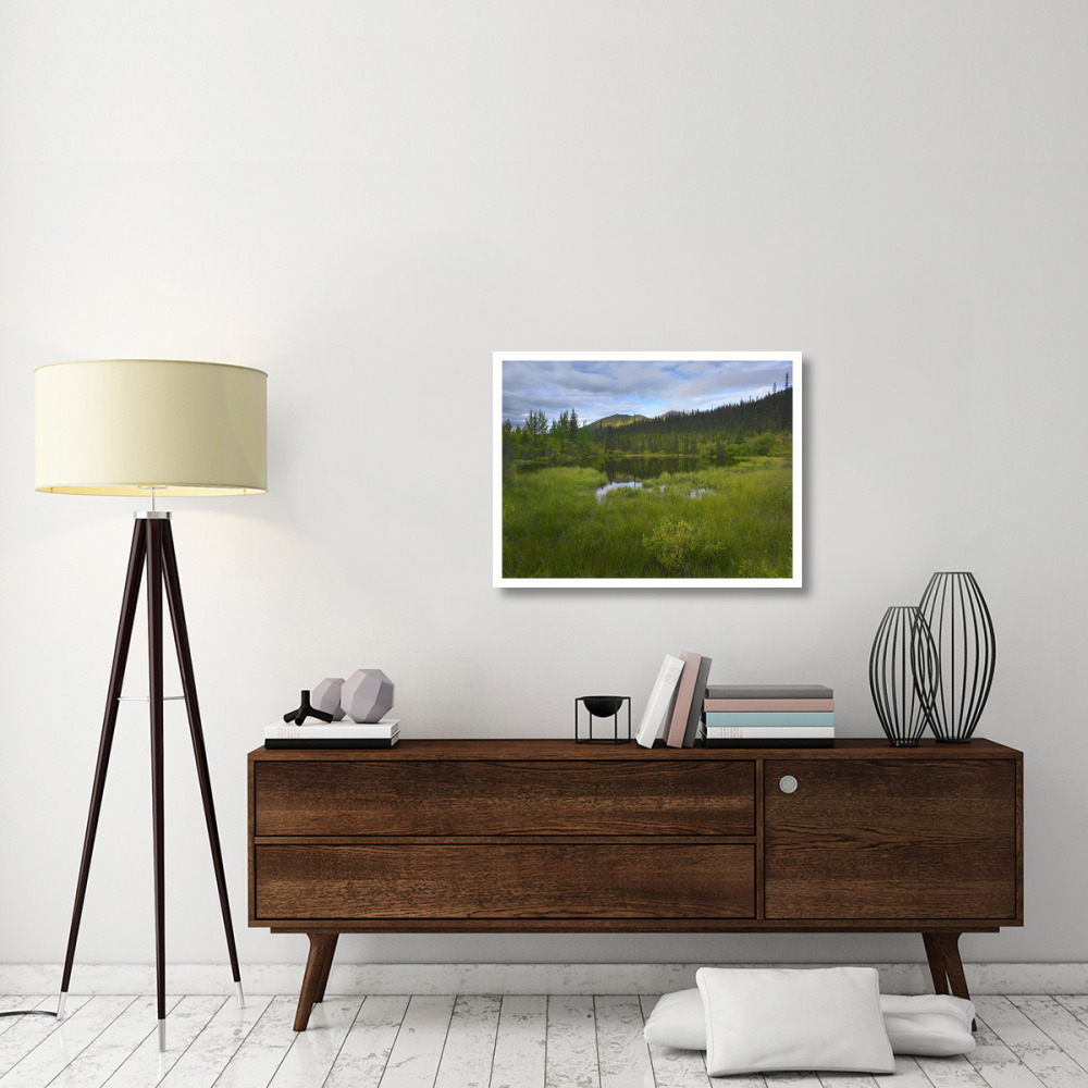 Boreal forest with pond and Antimony Mountain in the background, Ogilvie Mountains, Yukon Territory, Canada-Paper Art-34&quotx26"
