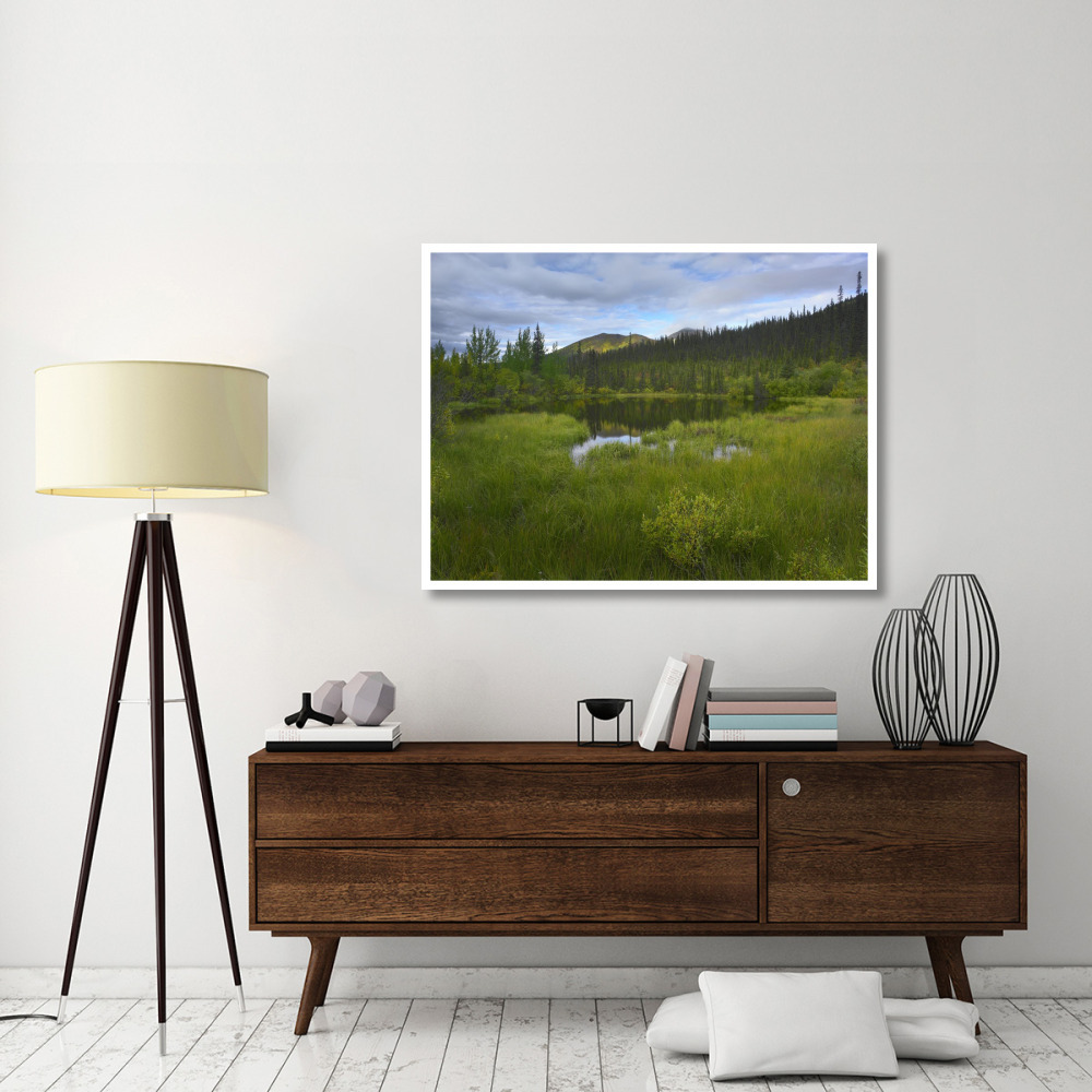 Boreal forest with pond and Antimony Mountain in the background, Ogilvie Mountains, Yukon Territory, Canada-Paper Art-50&quotx38"