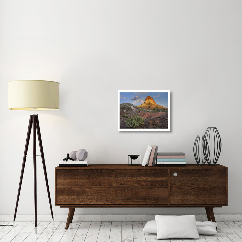 Prickly Pear Cactus at Cerro Castellan, Chihuahuan Desert, Big Bend National Park, Chihuahuan Desert, Texas-Paper Art-26&quotx20"
