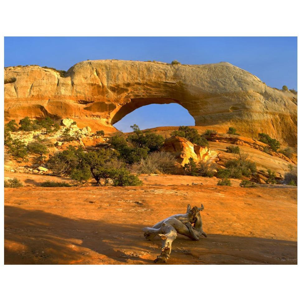 Wilson Arch with a span of 91 feet and height of 46 feet, made of entrada sandstone, Utah-Paper Art-18&quotx14"