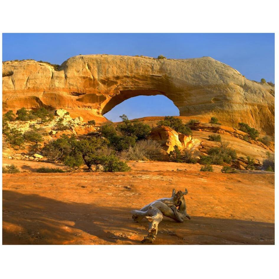 Wilson Arch with a span of 91 feet and height of 46 feet, made of entrada sandstone, Utah-Paper Art-26&quotx20"