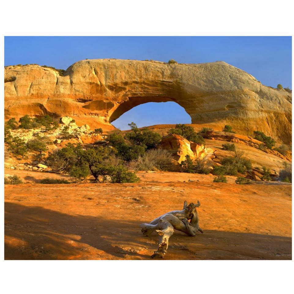 Wilson Arch with a span of 91 feet and height of 46 feet, made of entrada sandstone, Utah-Paper Art-34&quotx26"