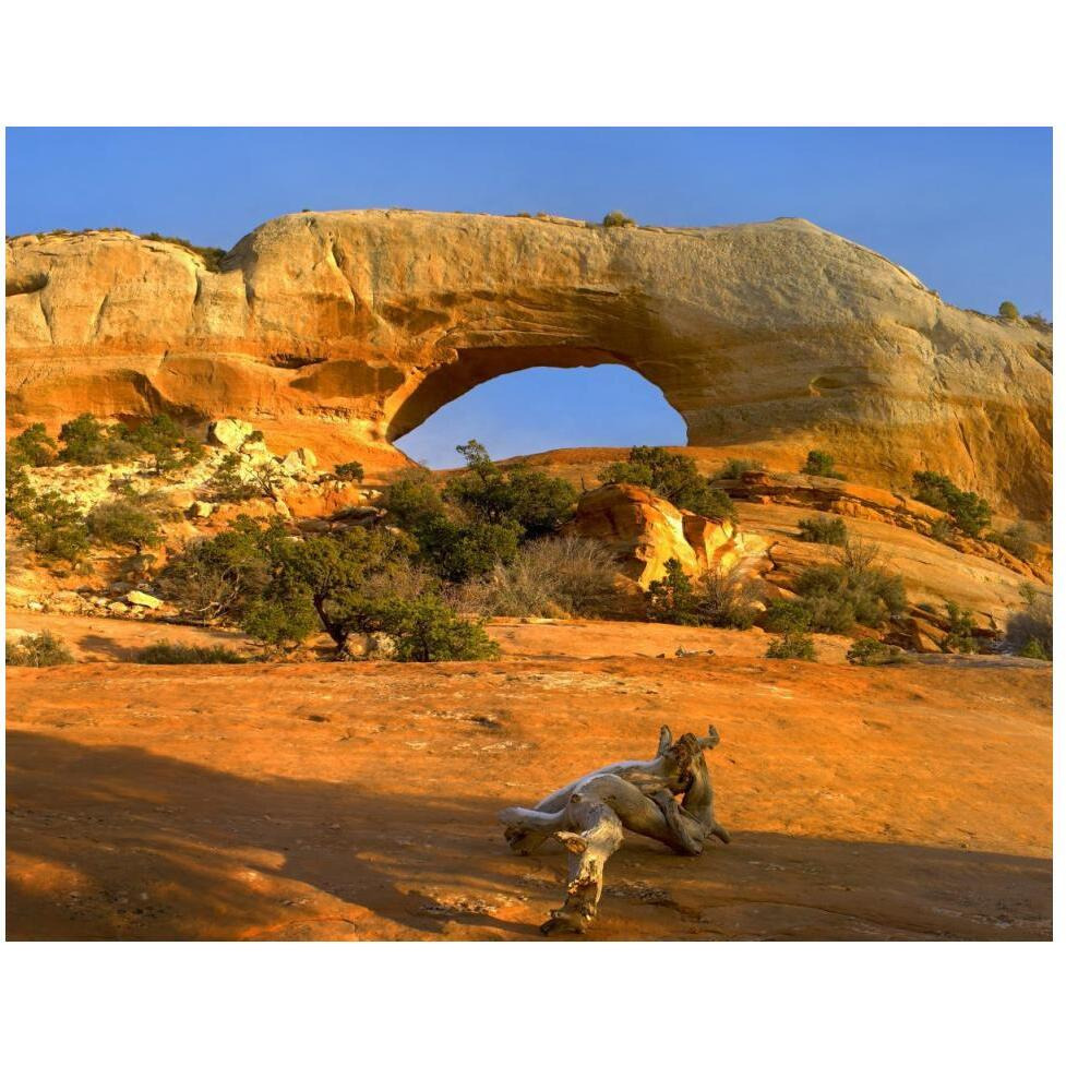 Wilson Arch with a span of 91 feet and height of 46 feet, made of entrada sandstone, Utah-Paper Art-50&quotx38"