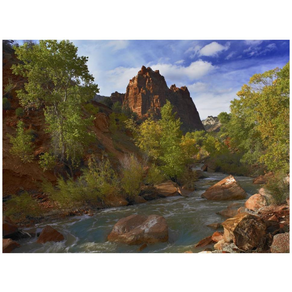 Mt Spry at 5,823 foot elevation with the Virgin River surrounded by Cottonwood trees, Zion National Park, Utah-Paper Art-42&quotx32"
