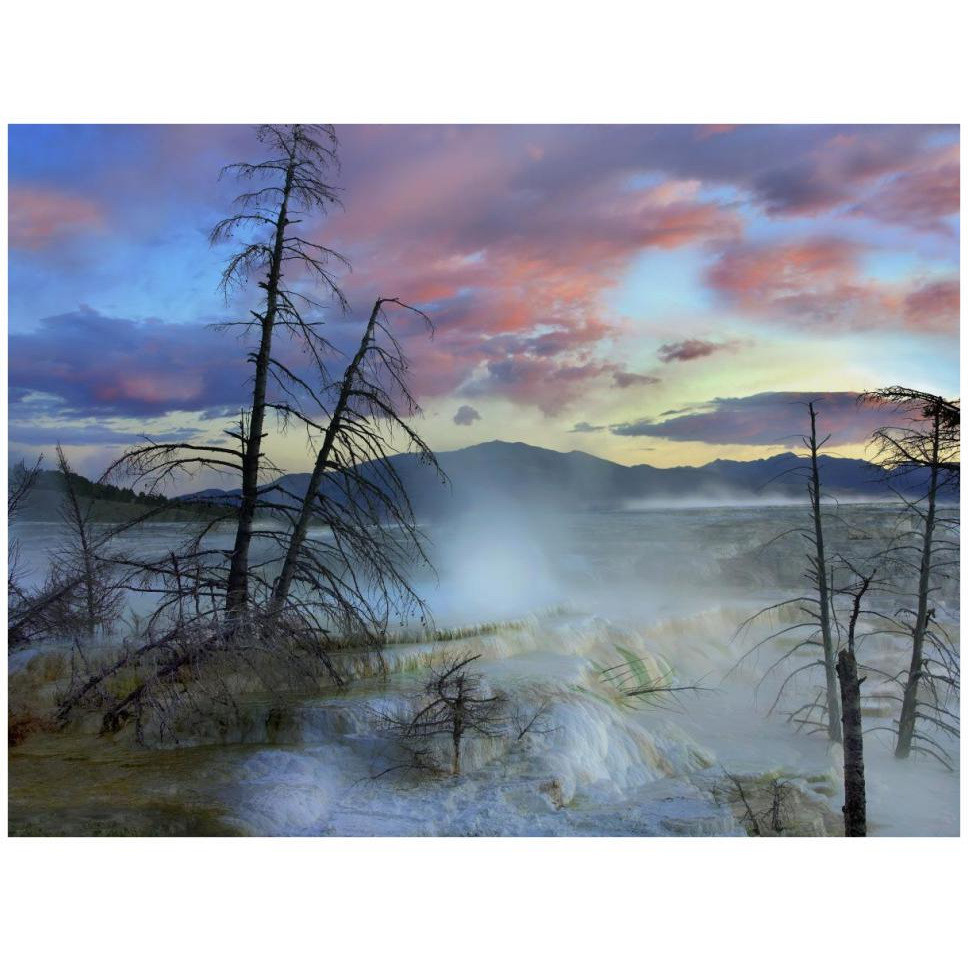 Steam rising from travertine formations, Minerva Terrace, Mammoth Hot Springs, Yellowstone National Park, Wyoming-Paper Art-42&quotx32"
