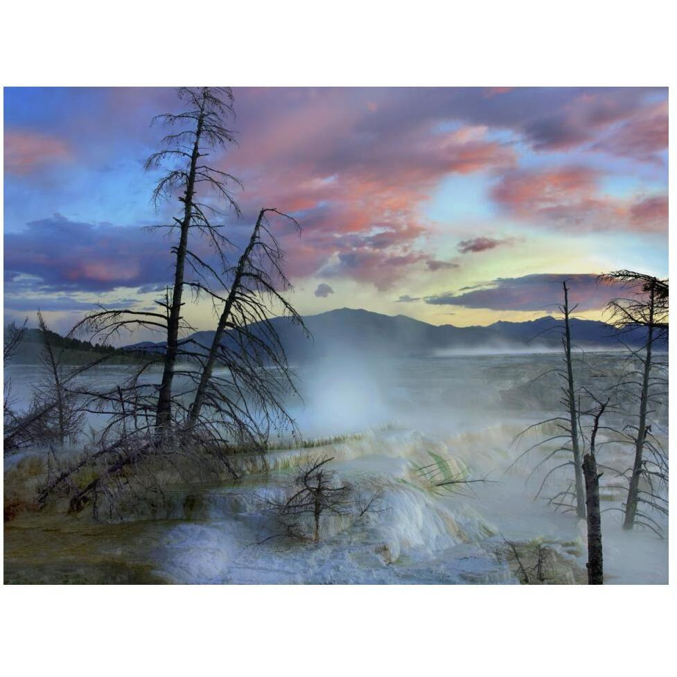 Steam rising from travertine formations, Minerva Terrace, Mammoth Hot Springs, Yellowstone National Park, Wyoming-Paper Art-50&quotx38"