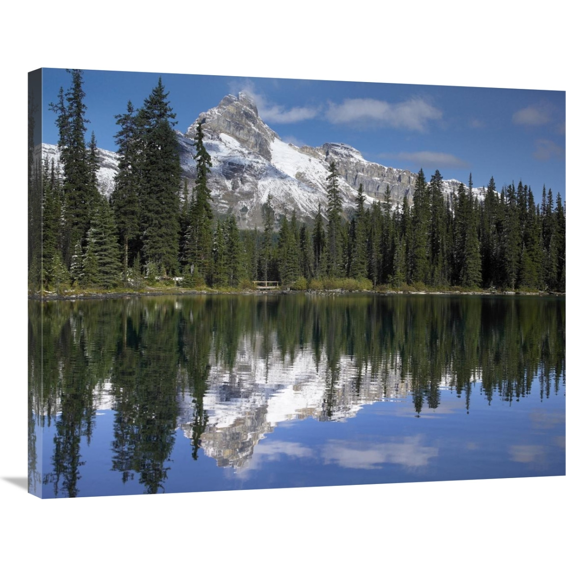Wiwaxy Peaks and Cathedral Mountain at Lake O&quotHara, Yoho National Park, British Columbia, Canada-Canvas Art-35&quotx28"