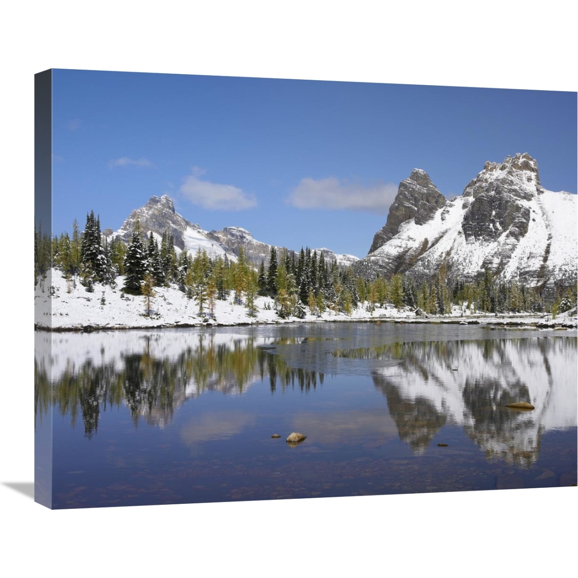 Wiwaxy Peaks and Cathedral Mountain at Lake O&quotHara, Yoho National Park, British Columbia, Canada-Canvas Art-28&quotx22"