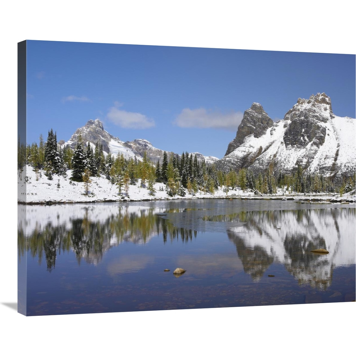 Wiwaxy Peaks and Cathedral Mountain at Lake O&quotHara, Yoho National Park, British Columbia, Canada-Canvas Art-35&quotx28"