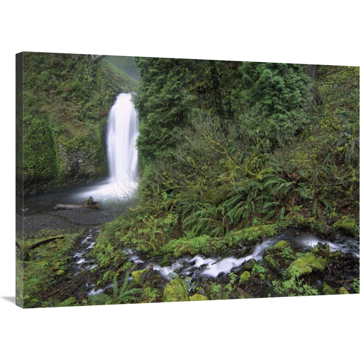 Multnomah Falls cascading through temperate rainforest, Columbia River Gorge near Portland, Oregon-Canvas Art-40&quotx30"
