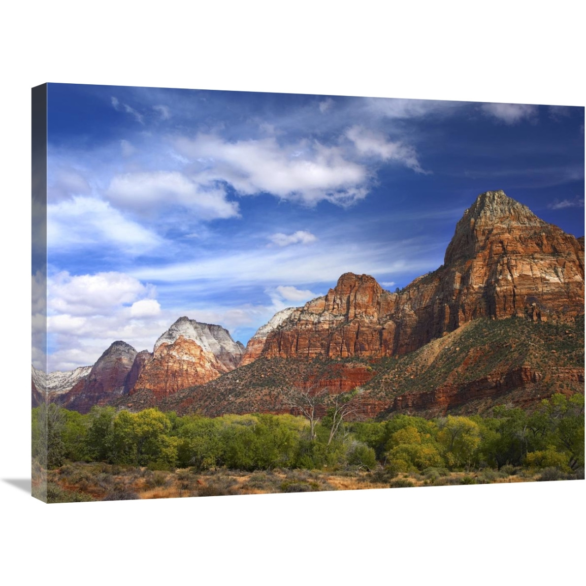 The Watchman, outcropping near south entrance of Zion National Park, cottonwoods in foreground, Utah-Canvas Art-32&quotx24"