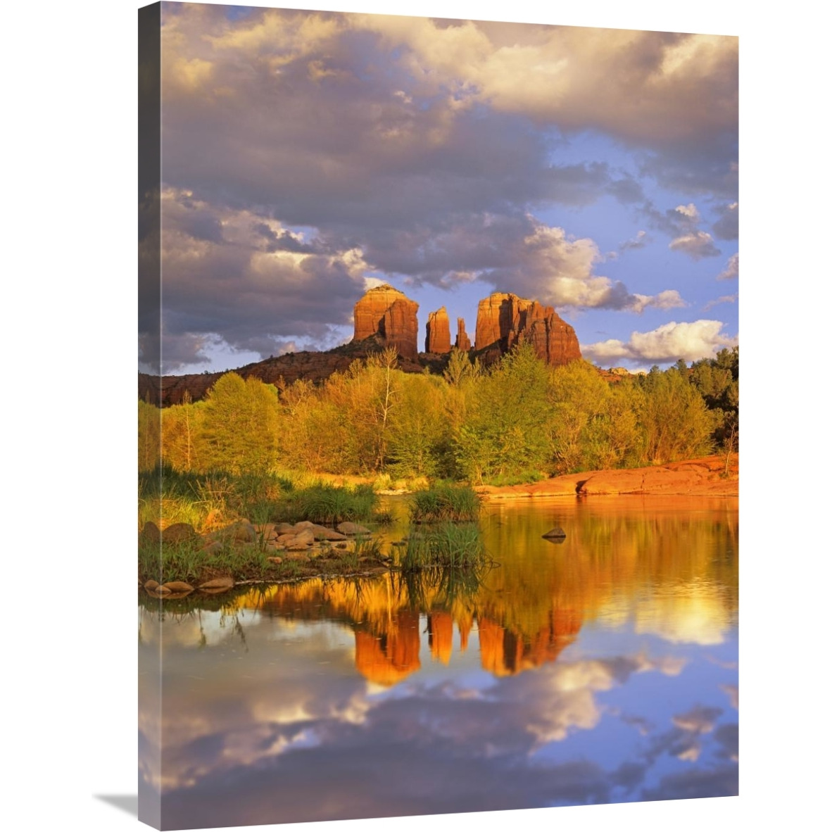 Cathedral Rock reflected in Oak Creek at Red Rock Crossing, Red Rock State Park near Sedona, Arizona-Canvas Art-24&quotx32"