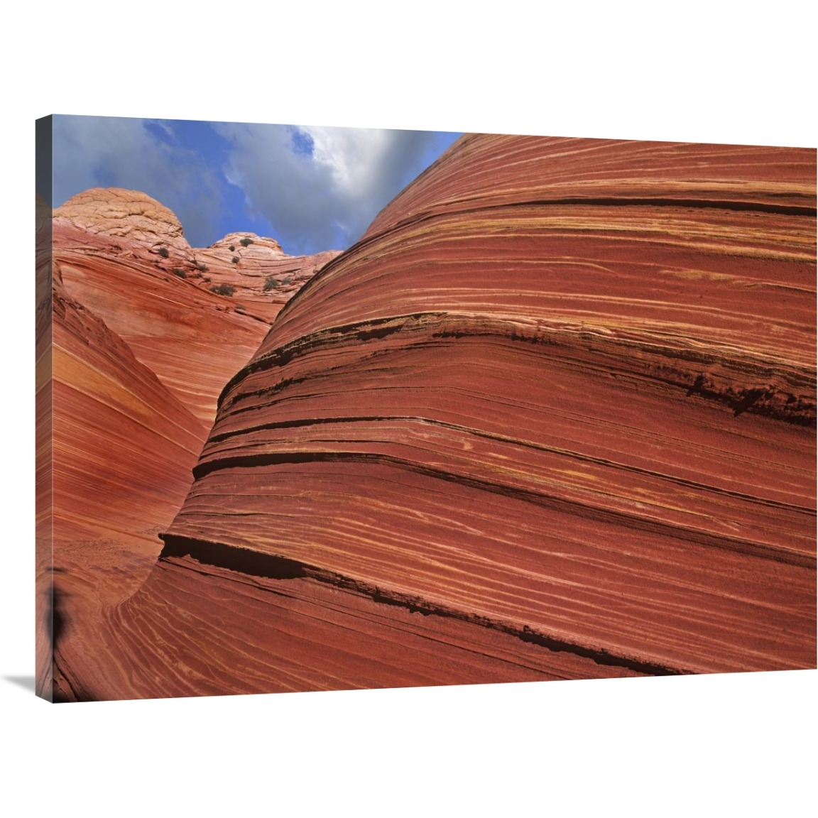 Detail of The Wave, a Navajo sandstone formation in Paria Canyon-Vermilion Cliffs Wilderness, Arizona-Canvas Art-40&quotx30"