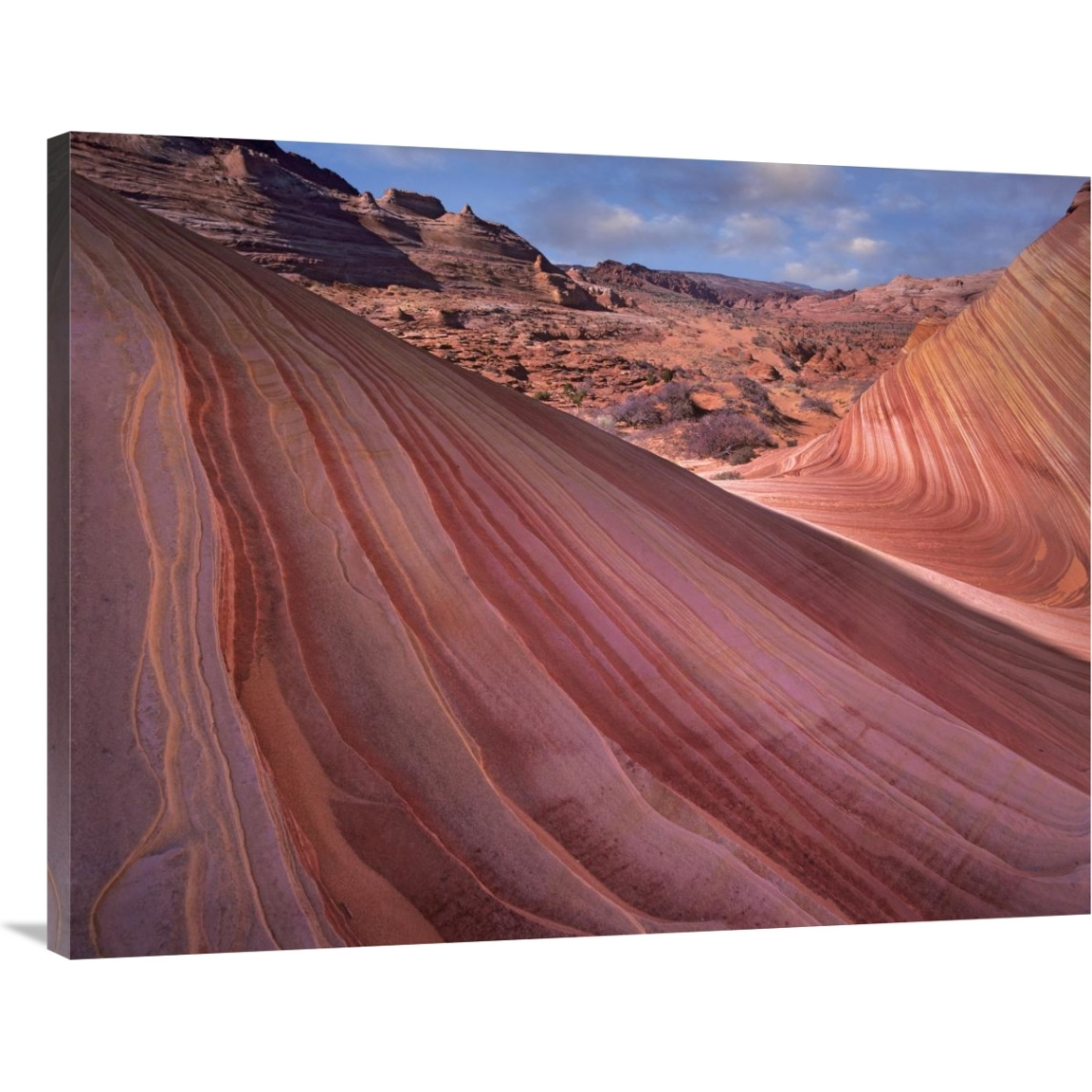 Detail of The Wave, a Navajo sandstone formation in Paria Canyon-Vermilion Cliffs Wilderness, Arizona-Canvas Art-40&quotx30"