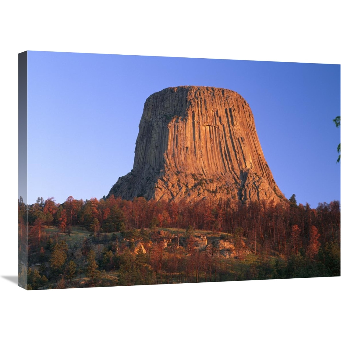 Devil&quots Tower National Monument showing famous basalt tower, sacred site for Native Americans, Wyoming-Canvas Art-32&quotx24"