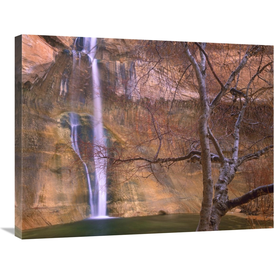 Calf Creek Falls cascading down sandstone cliff with desert varnish, Escalante National Monument, Utah-Canvas Art-32&quotx24"