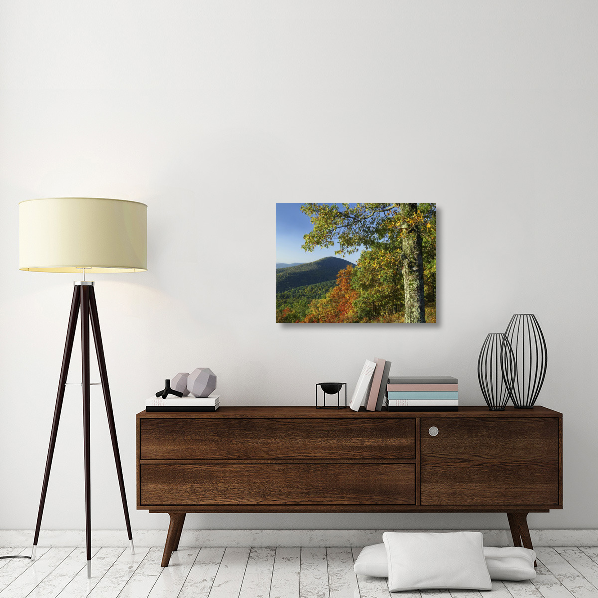 Broadleaf forest in fall colors as seen from Doyles River Overlook, Shenandoah National Park, Virginia-Canvas Art-32&quotx24"