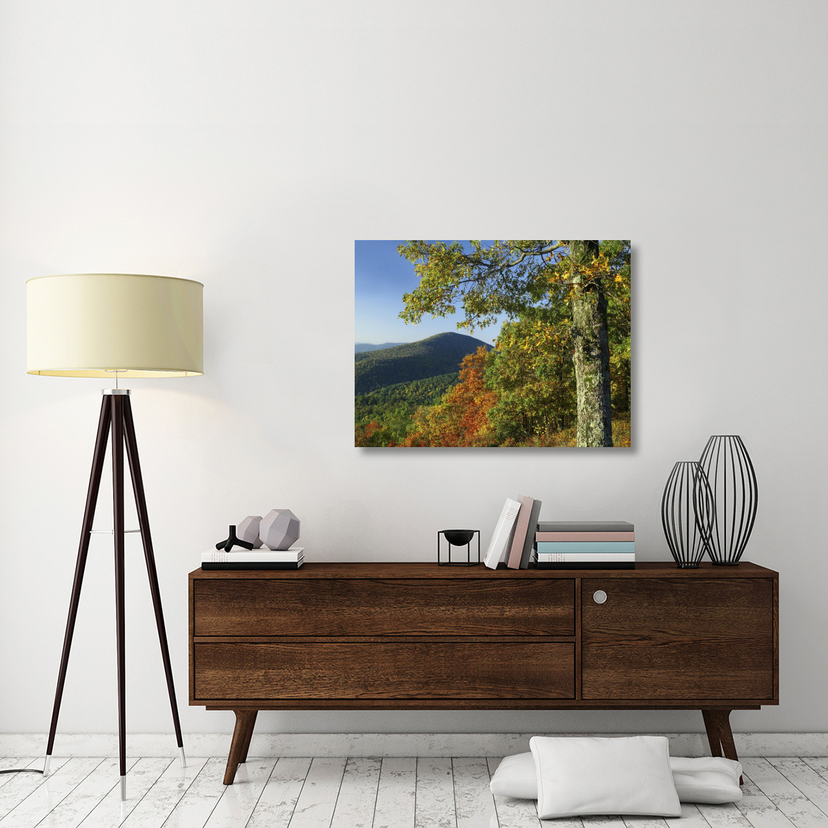 Broadleaf forest in fall colors as seen from Doyles River Overlook, Shenandoah National Park, Virginia-Canvas Art-40&quotx30"