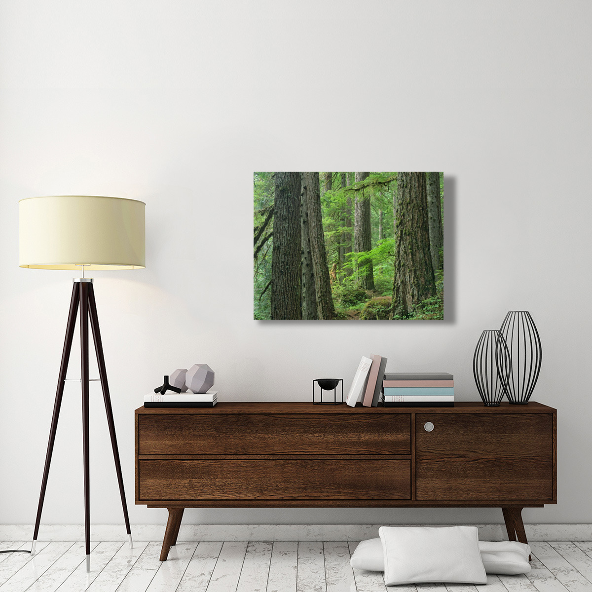 Old growth forest of Western Red Cedar Grove of the Patriarchs, Mount Rainier National Park, Washington-Canvas Art-40&quotx30"