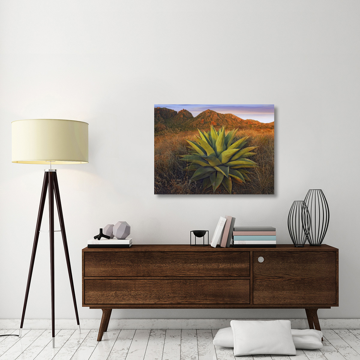 Agave plants and Chisos Mountains seen from Chisos Basin, Big Bend National Park, Chihuahuan Desert, Texas-Canvas Art-40&quotx30"