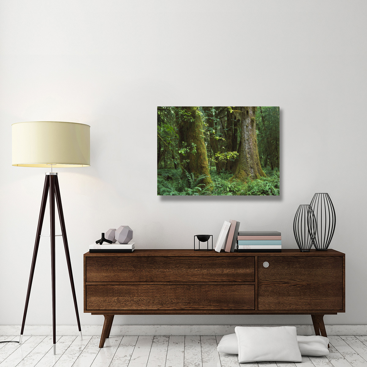 Moss-covered trees and dense undergrowth in the Hoh Temperate Rainforest, Olympic National Park, Washington-Canvas Art-40&quotx30"