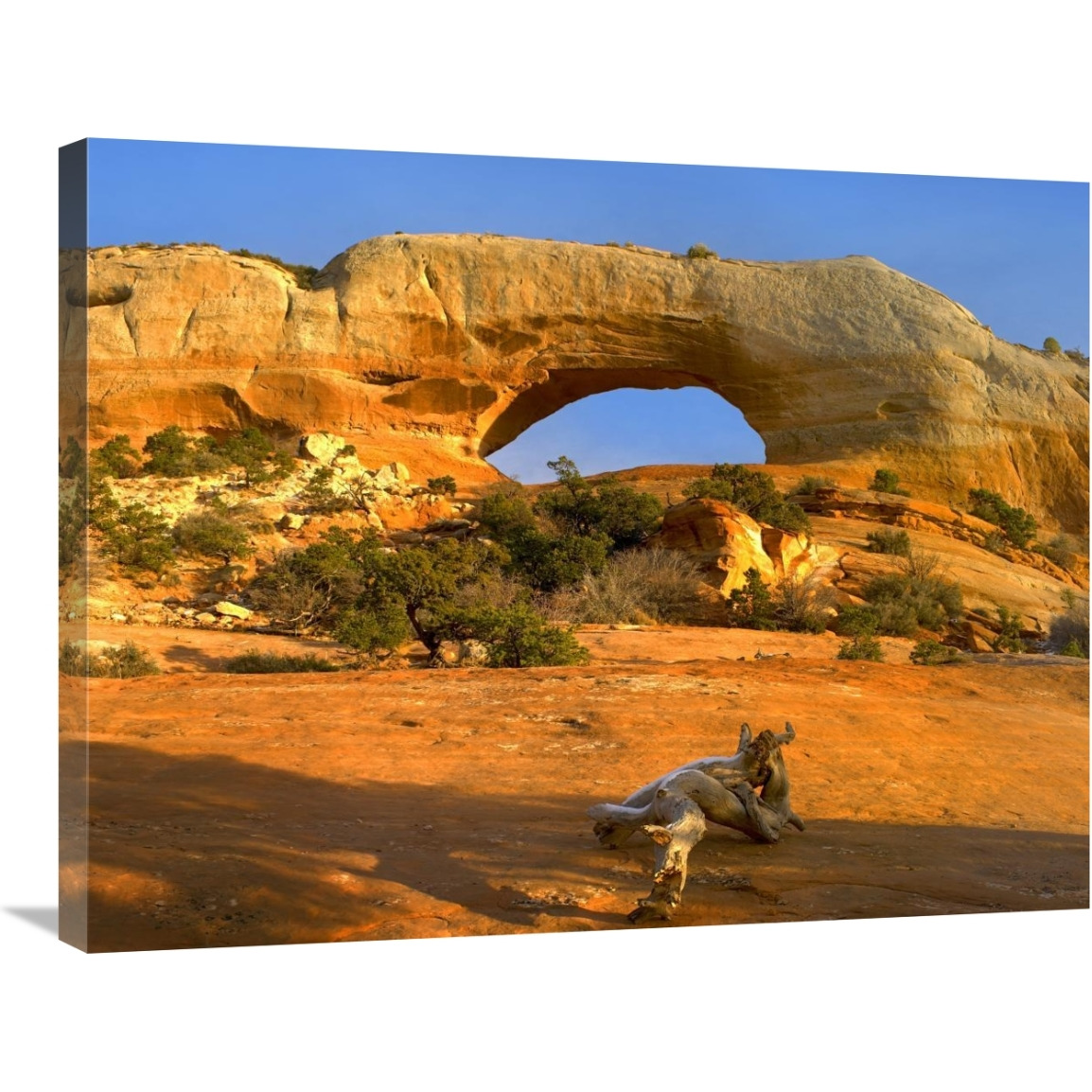 Wilson Arch with a span of 91 feet and height of 46 feet, made of entrada sandstone, Utah-Canvas Art-32&quotx24"