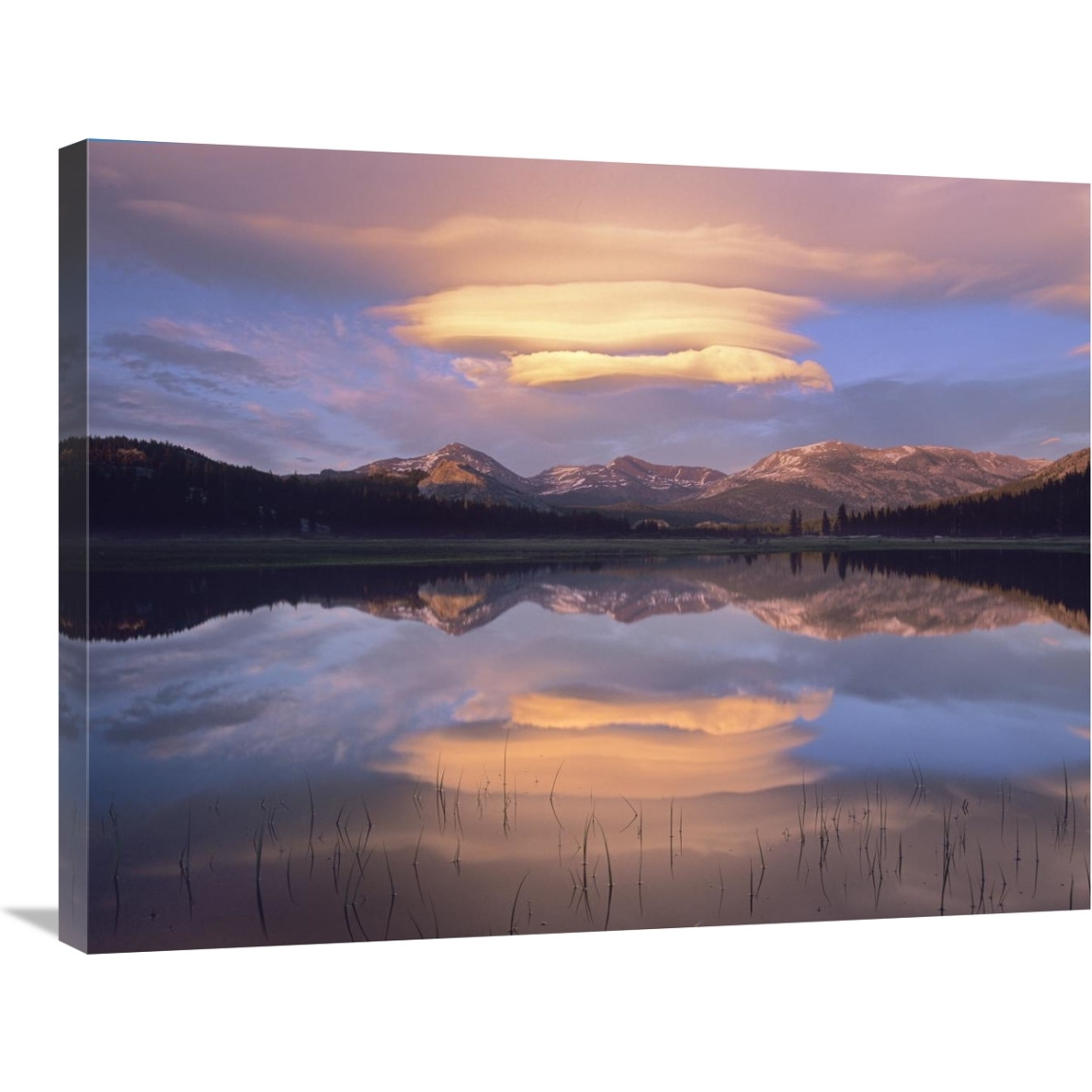 Lenticular clouds over Mount Dana, Mount Gibbs, and Mammoth Peak at Tuolumne Meadows, Yosemite National Park, California-Canvas Art-32&quotx24"