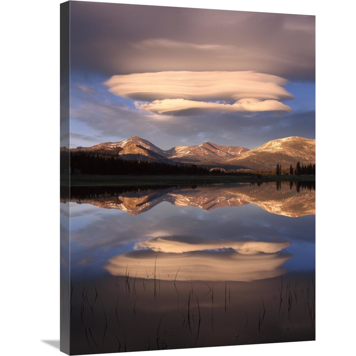 Lenticular clouds over Mt Dana, Mt Gibbs and Mammoth Peak reflected in flooded Tuolumne Meadows, Yosemite National Park, California-Canvas Art-24&quotx32"
