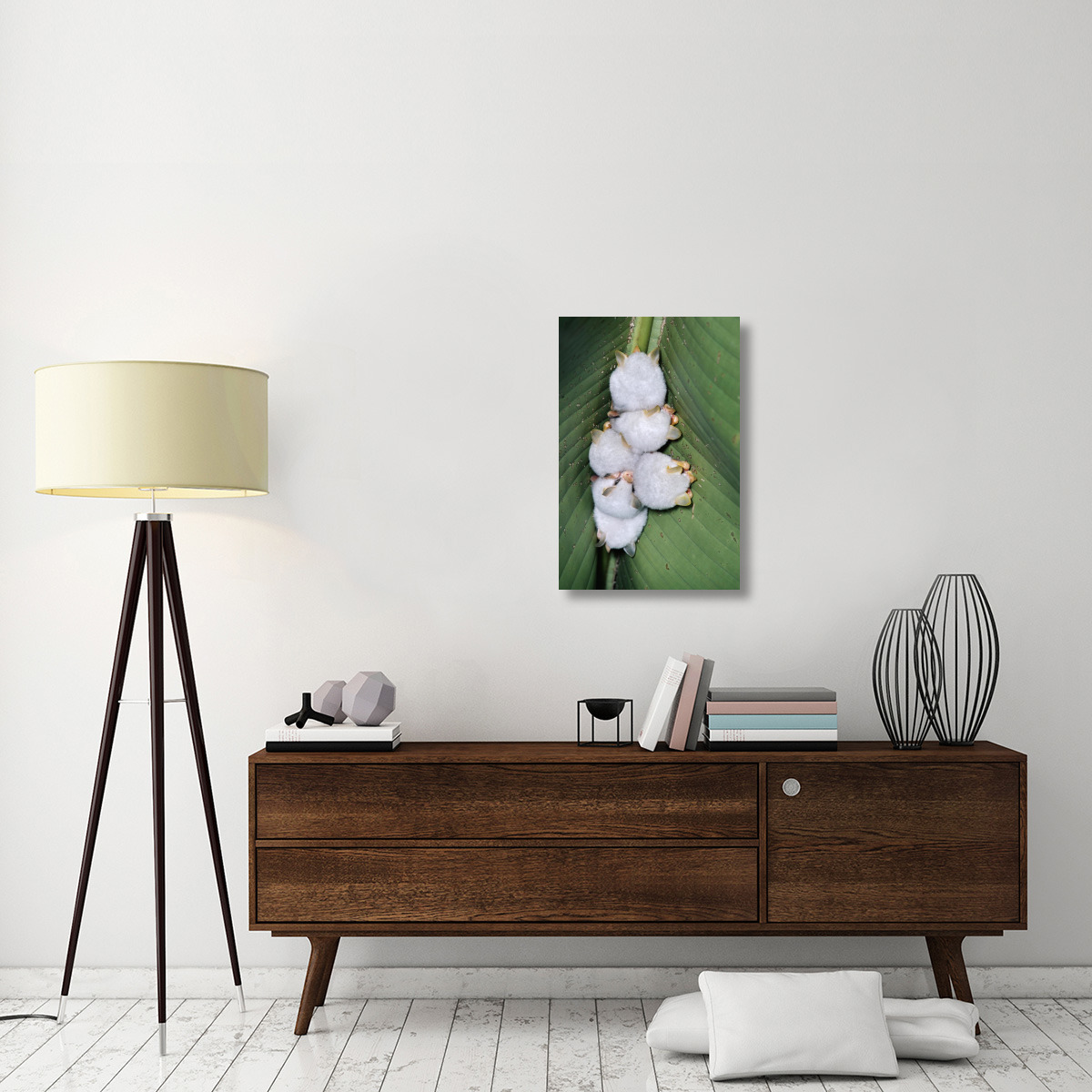 Honduran White Bat group roosting under Heliconia leaf, rainforest, Costa Rica-Canvas Art-20&quotx30"