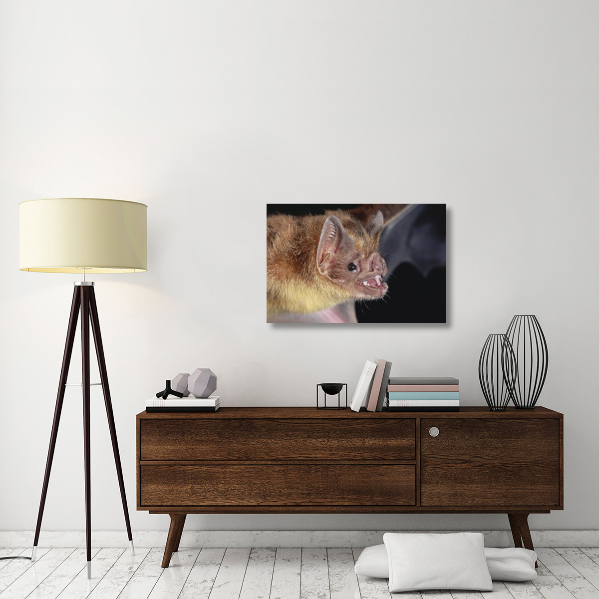 Vampire Bat portrait, Costa Rica-Canvas Art-36&quotx24"