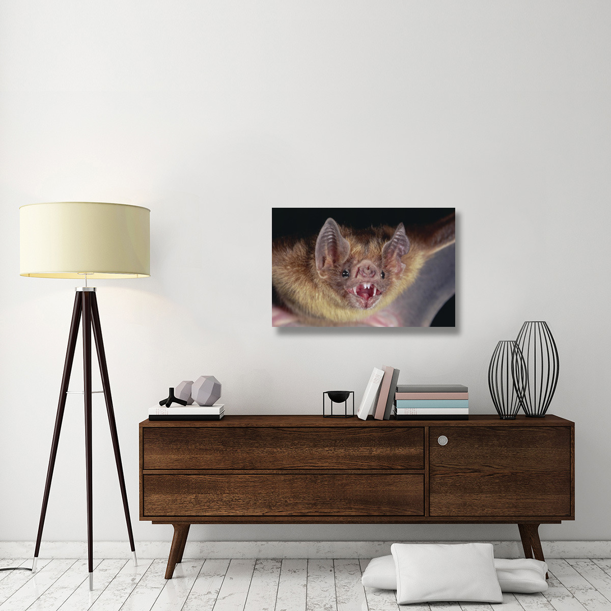 Vampire Bat portrait, Costa Rica-Canvas Art-36&quotx24"