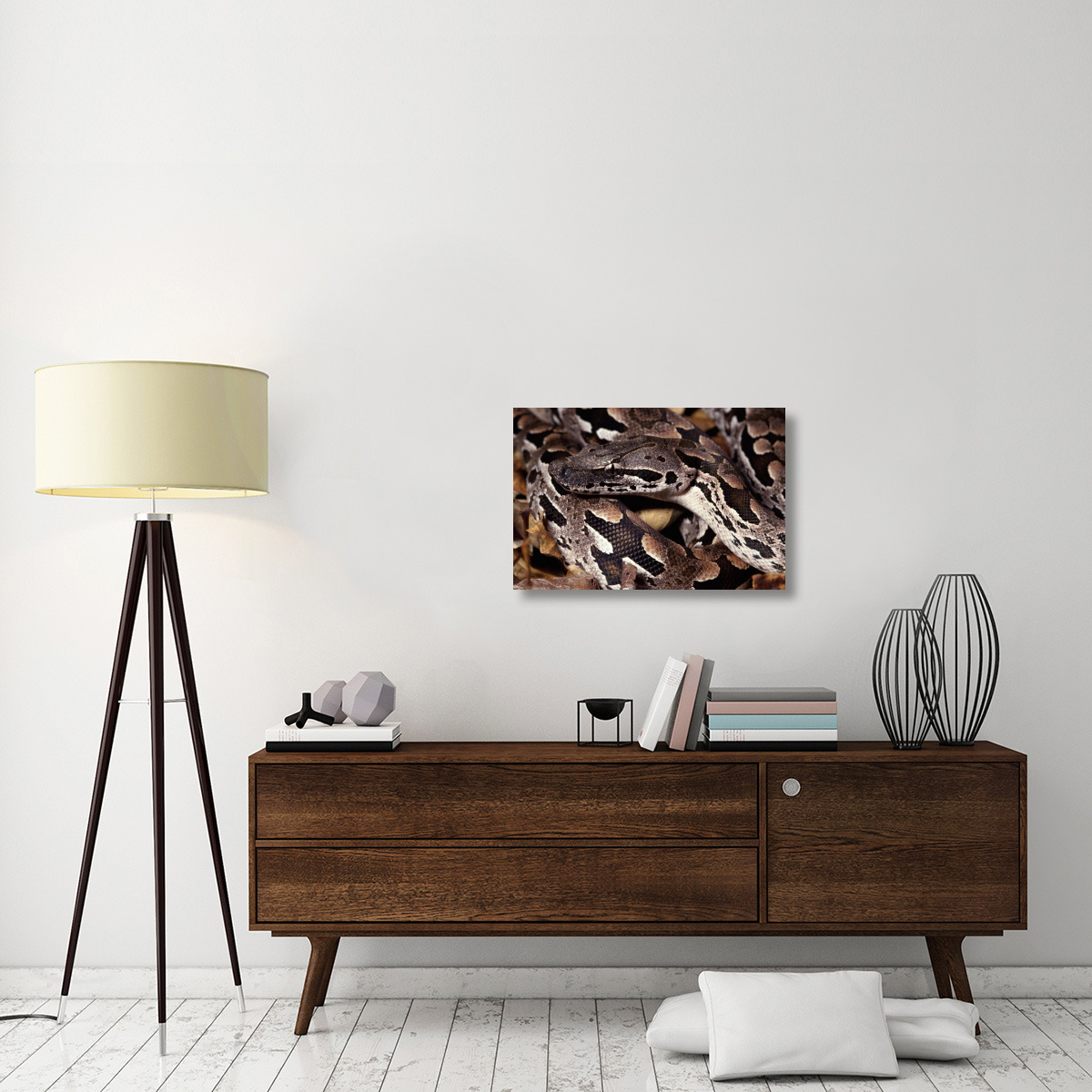 Madagascar Ground Boa Madagascar-Canvas Art-30&quotx20"