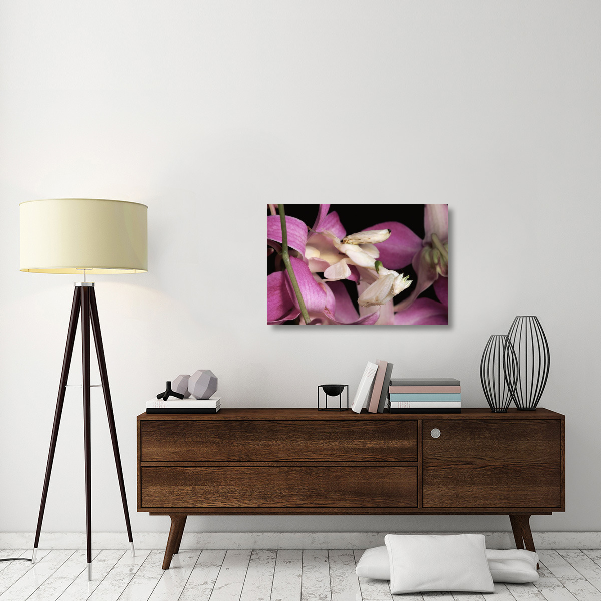 Orchid Mantis and orchid flower, Malaysia-Canvas Art-36&quotx24"