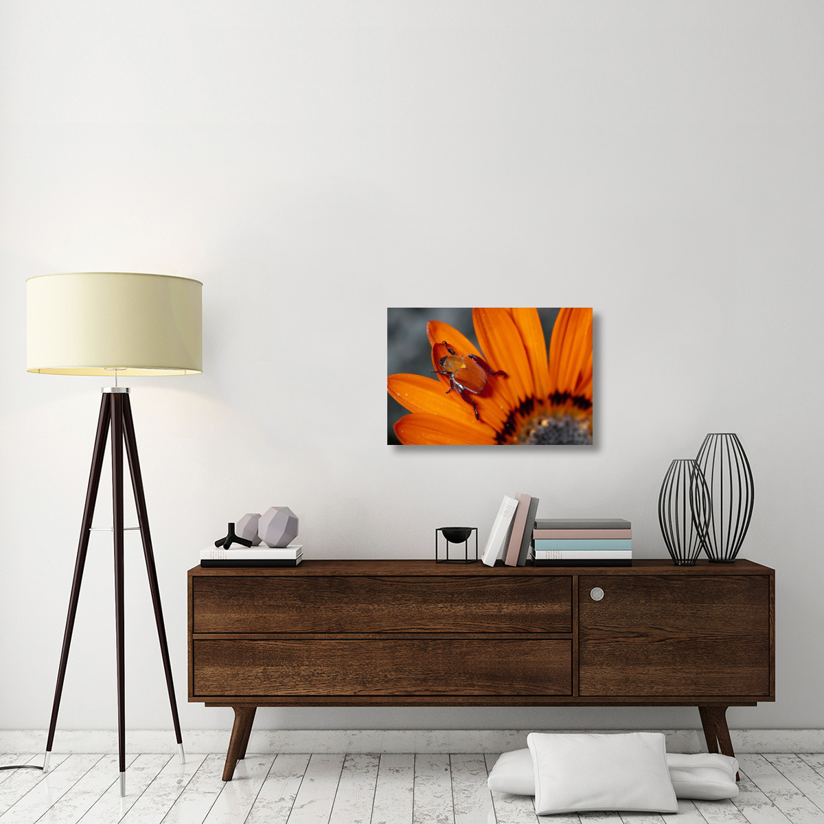 Scarab Beetle on a Guzmania flower, Damaraland, Namibia-Canvas Art-30&quotx20"