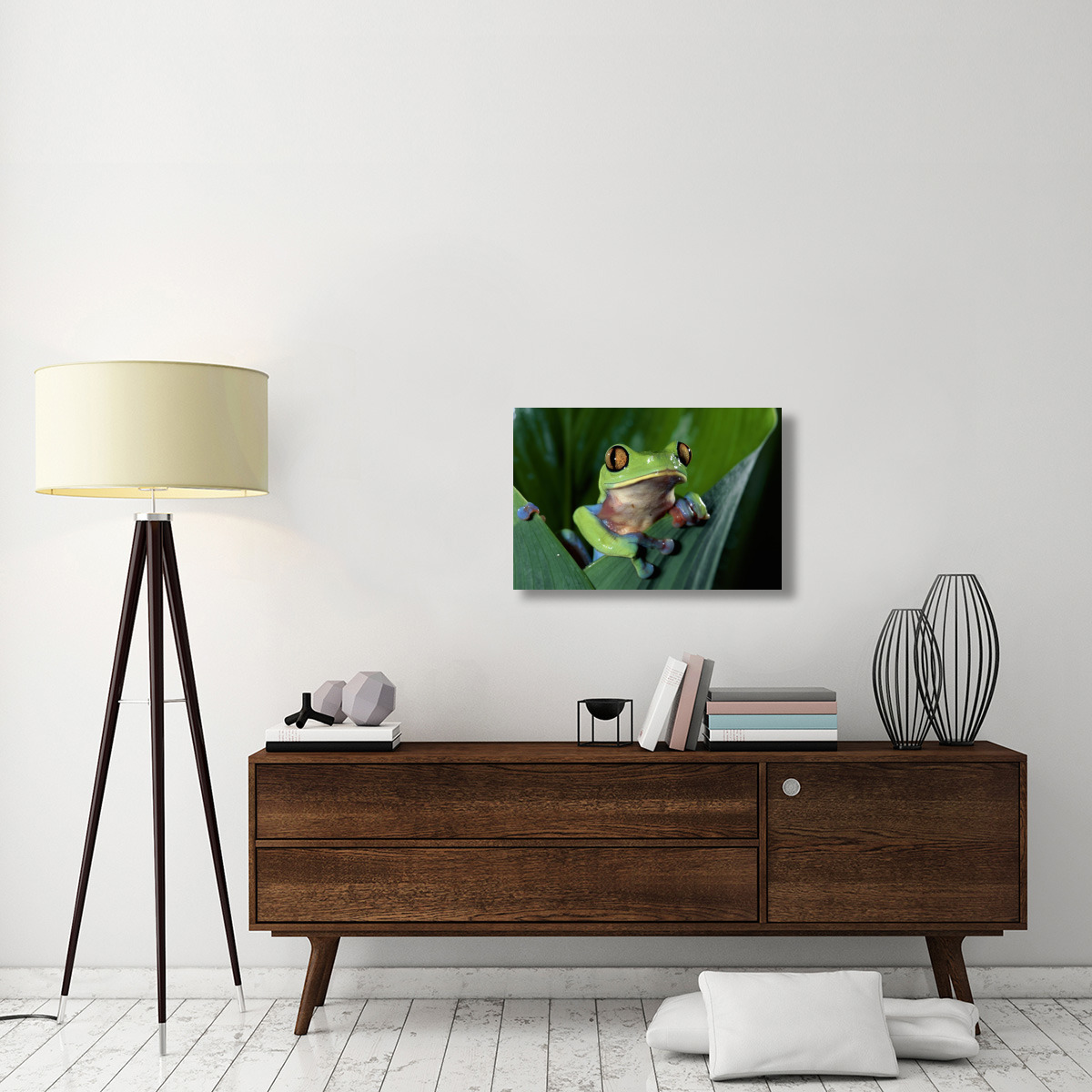 Blue-sided Leaf Frog hanging on leaf, close-up, cloud forest, Costa Rica-Canvas Art-30&quotx20"