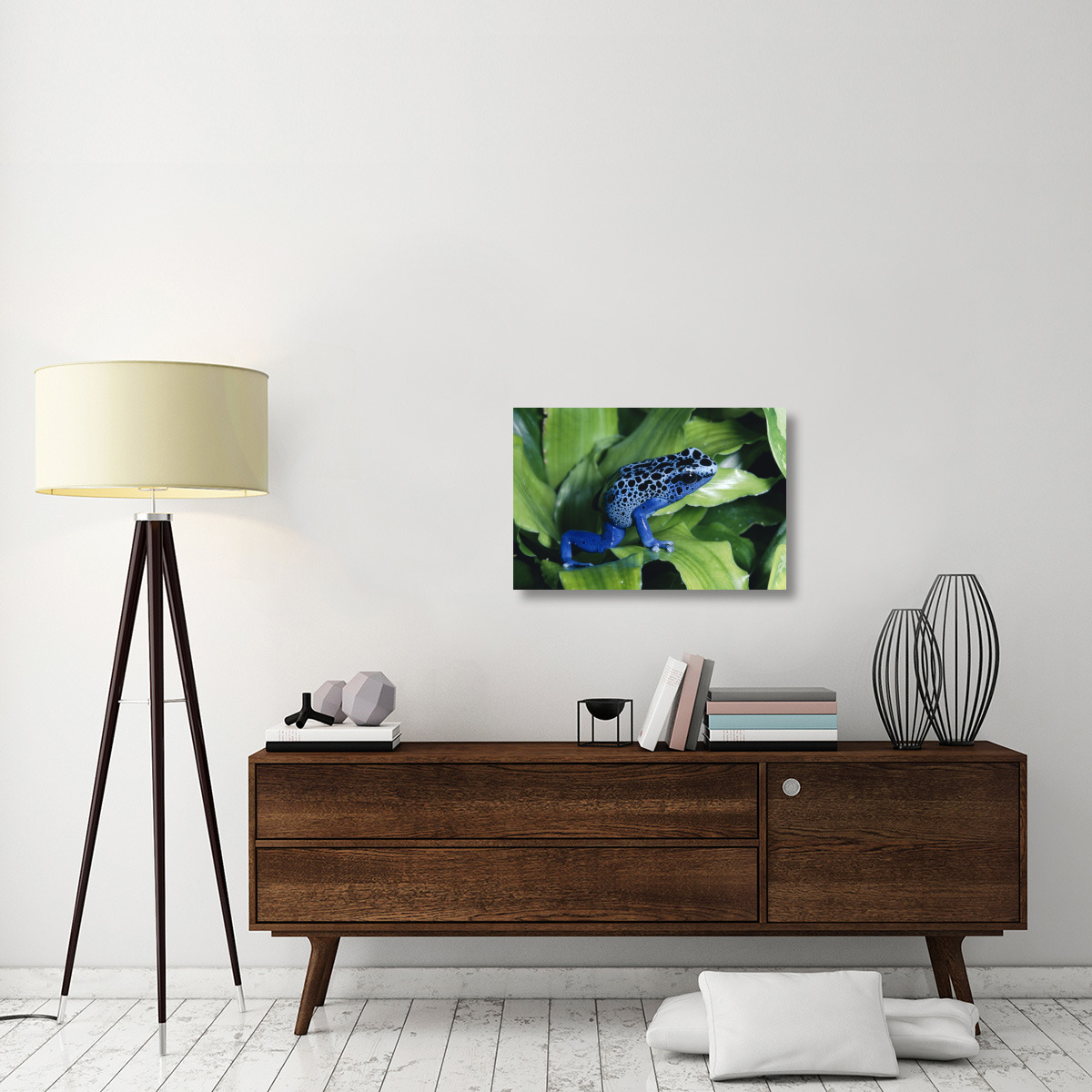 Blue Poison Dart Frog very tiny frog used by Indian tribes to poison tips of arrows, native to South America-Canvas Art-30&quotx20"
