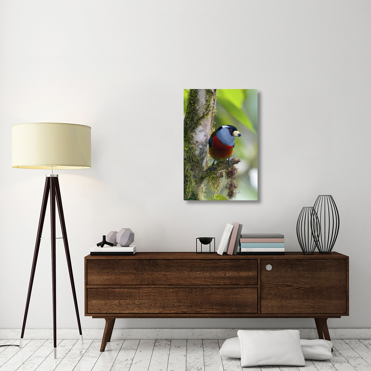 Toucan Barbet, Ecuador-Canvas Art-24&quotx36"