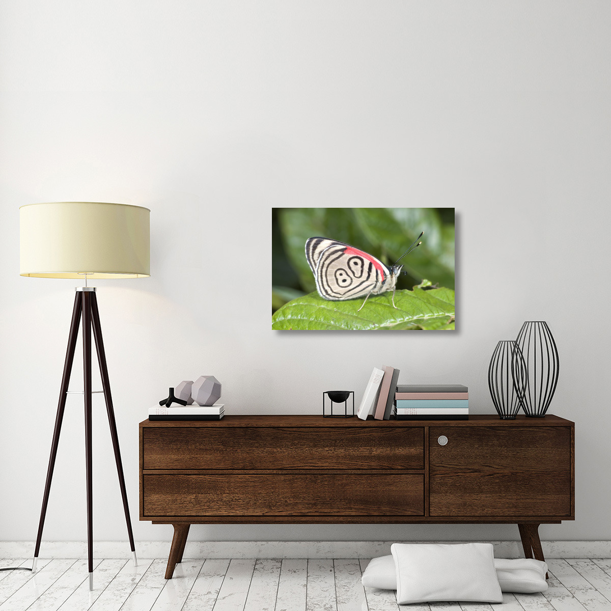 Eighty-nine butterfly, Ecuador-Canvas Art-36&quotx24"