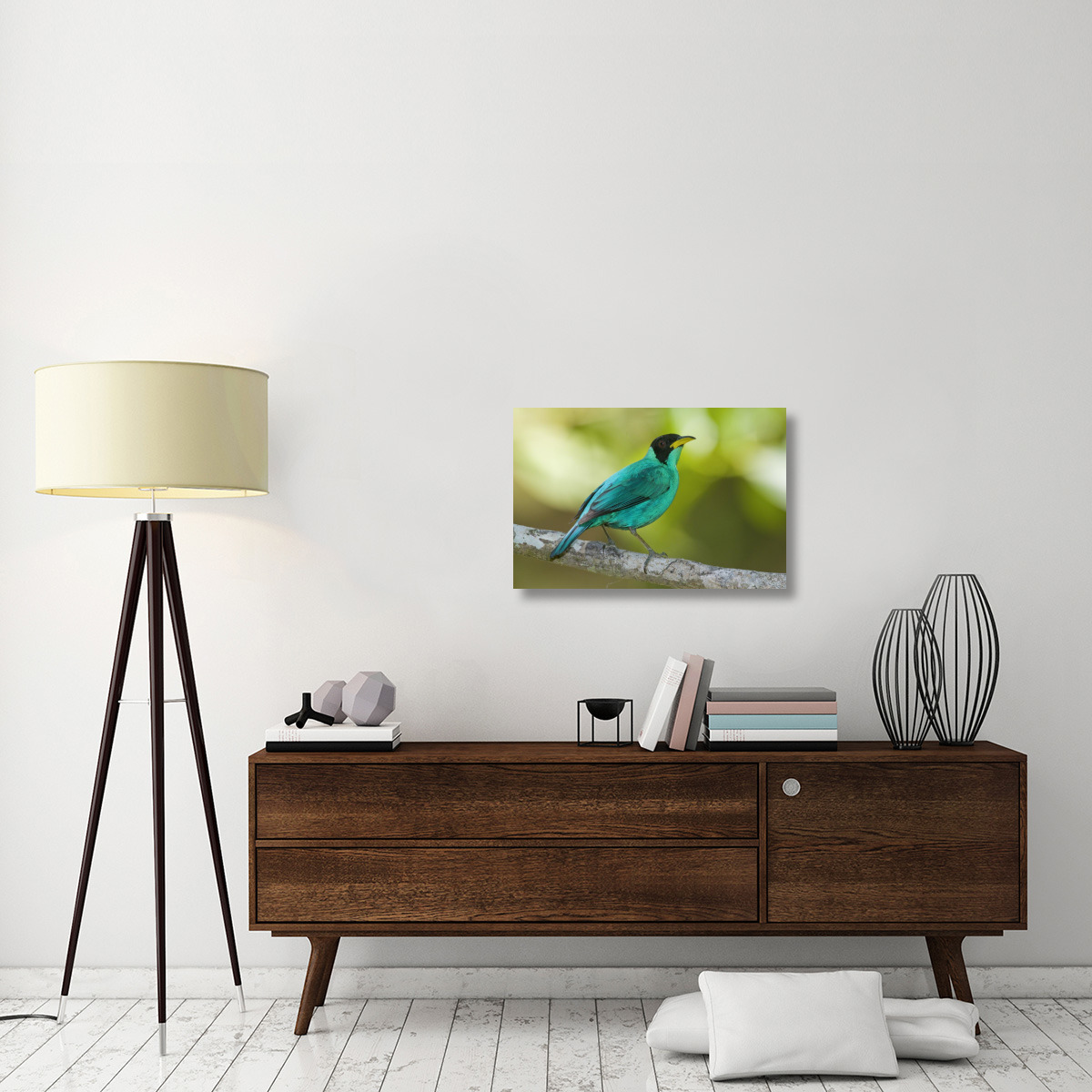Green Honeycreeper male, Costa Rica-Canvas Art-30&quotx20"