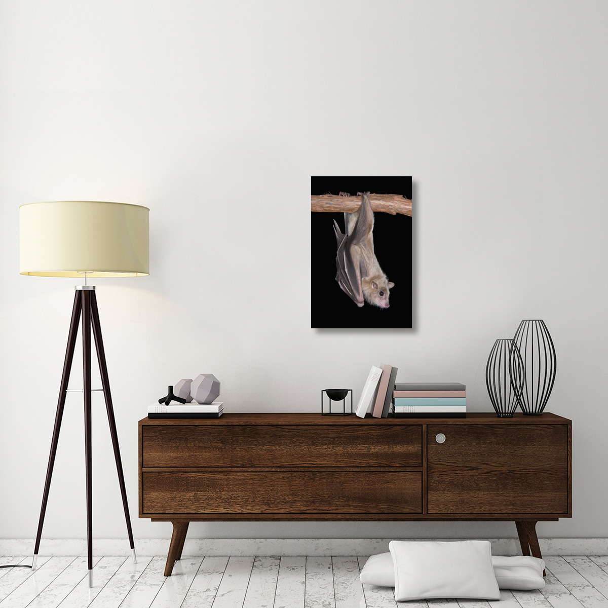 Egyptian Fruit Bat roosting, Michigan-Canvas Art-20&quotx30"