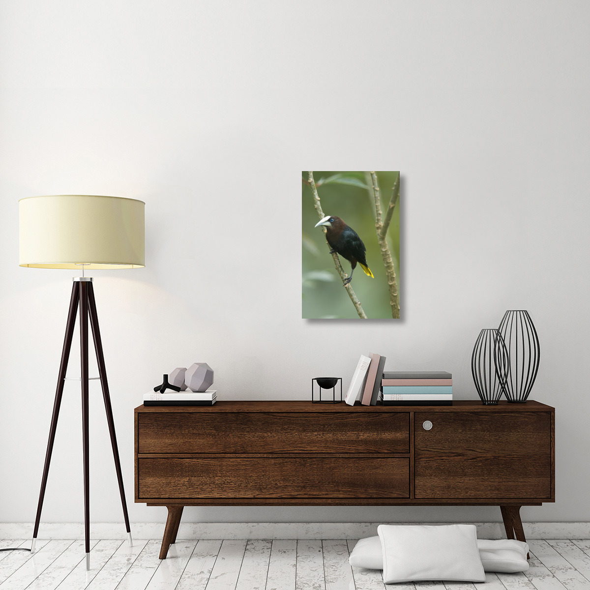Chestnut-headed Oropendola, Costa Rica-Canvas Art-20&quotx30"