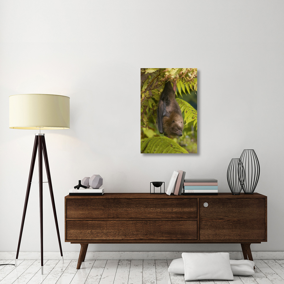 Rodrigues Flying Fox roosting, Michigan-Canvas Art-24&quotx36"