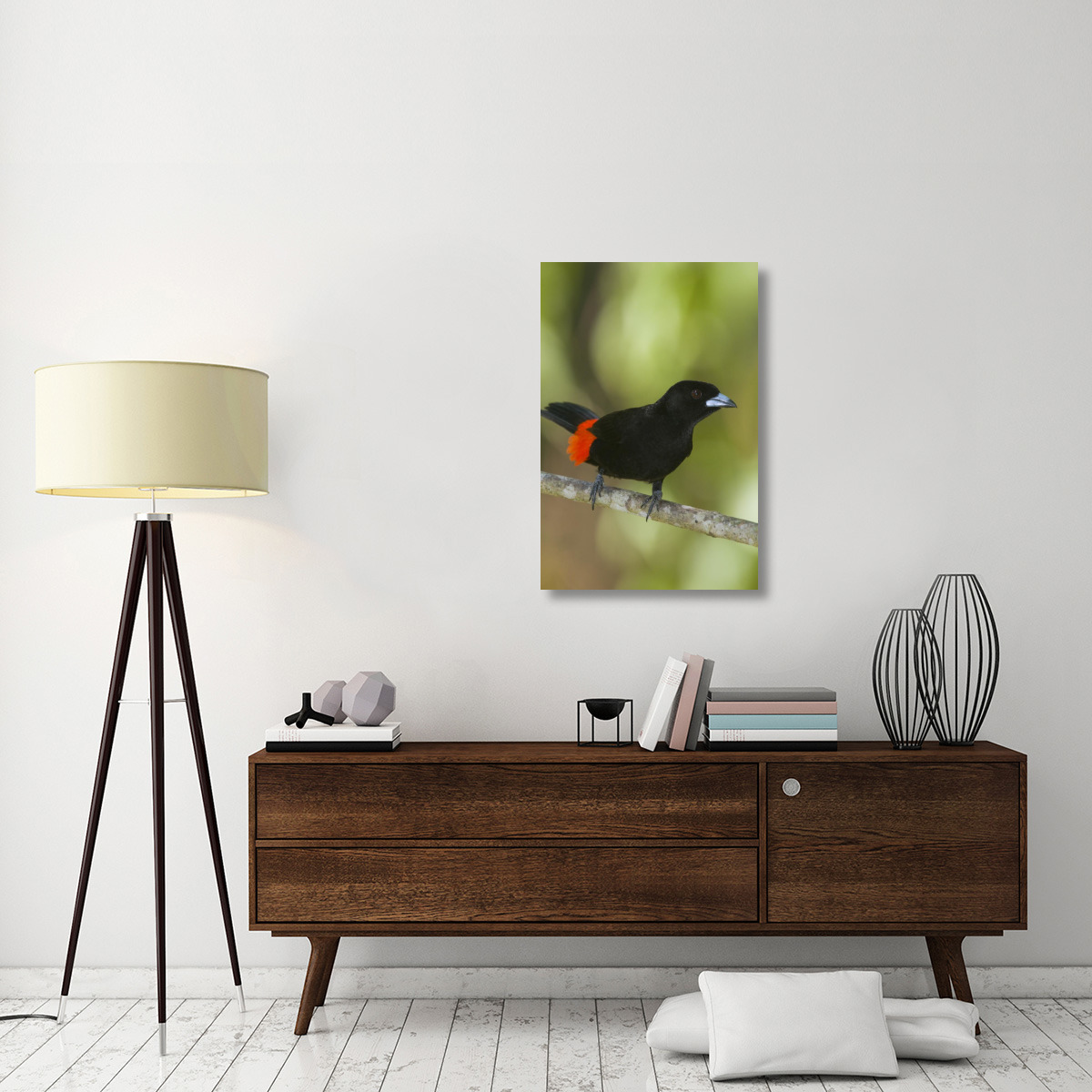Scarlet-rumped Tanager male, Costa Rica-Canvas Art-24&quotx36"
