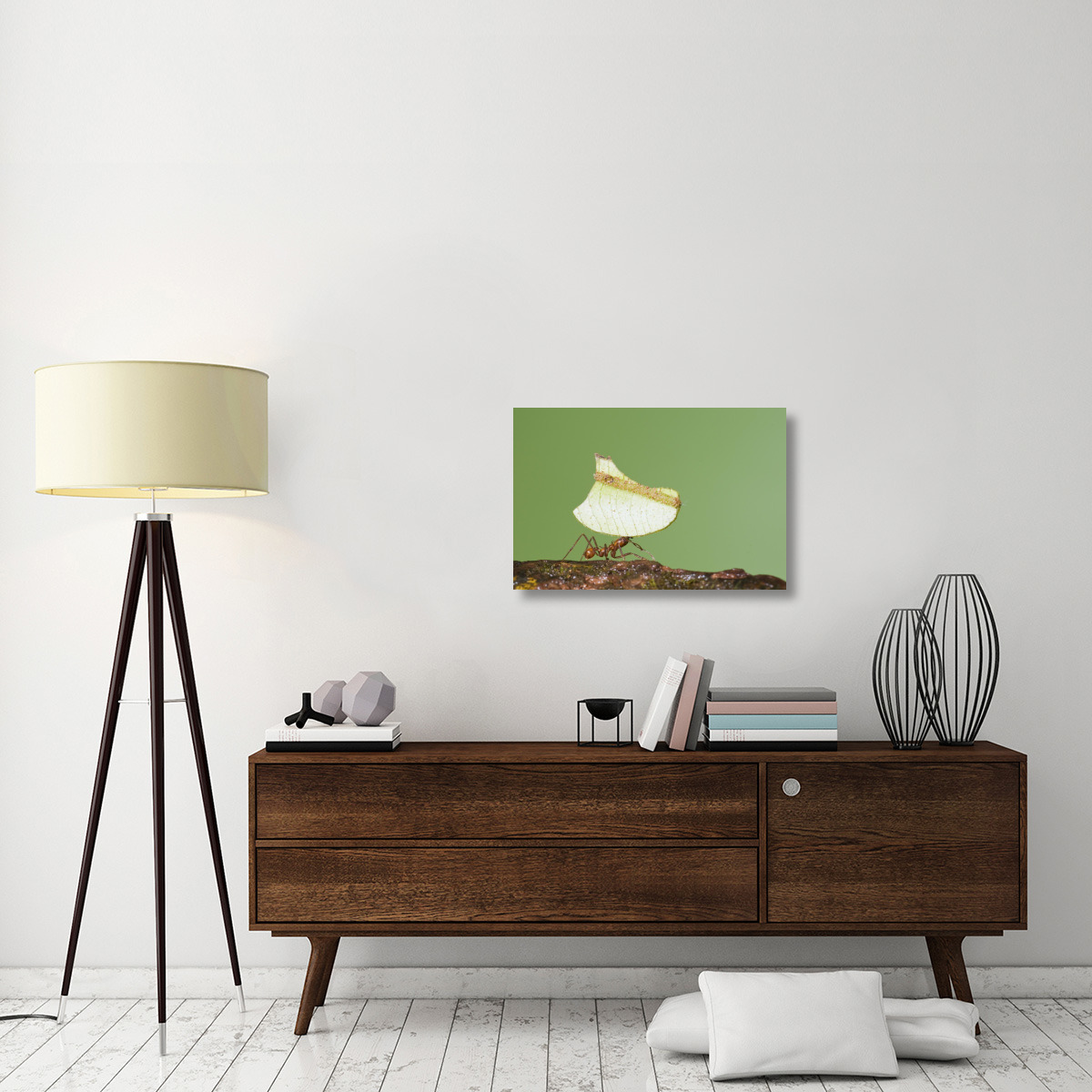 Leafcutter Ant carrying leaf, Costa Rica-Canvas Art-30&quotx20"