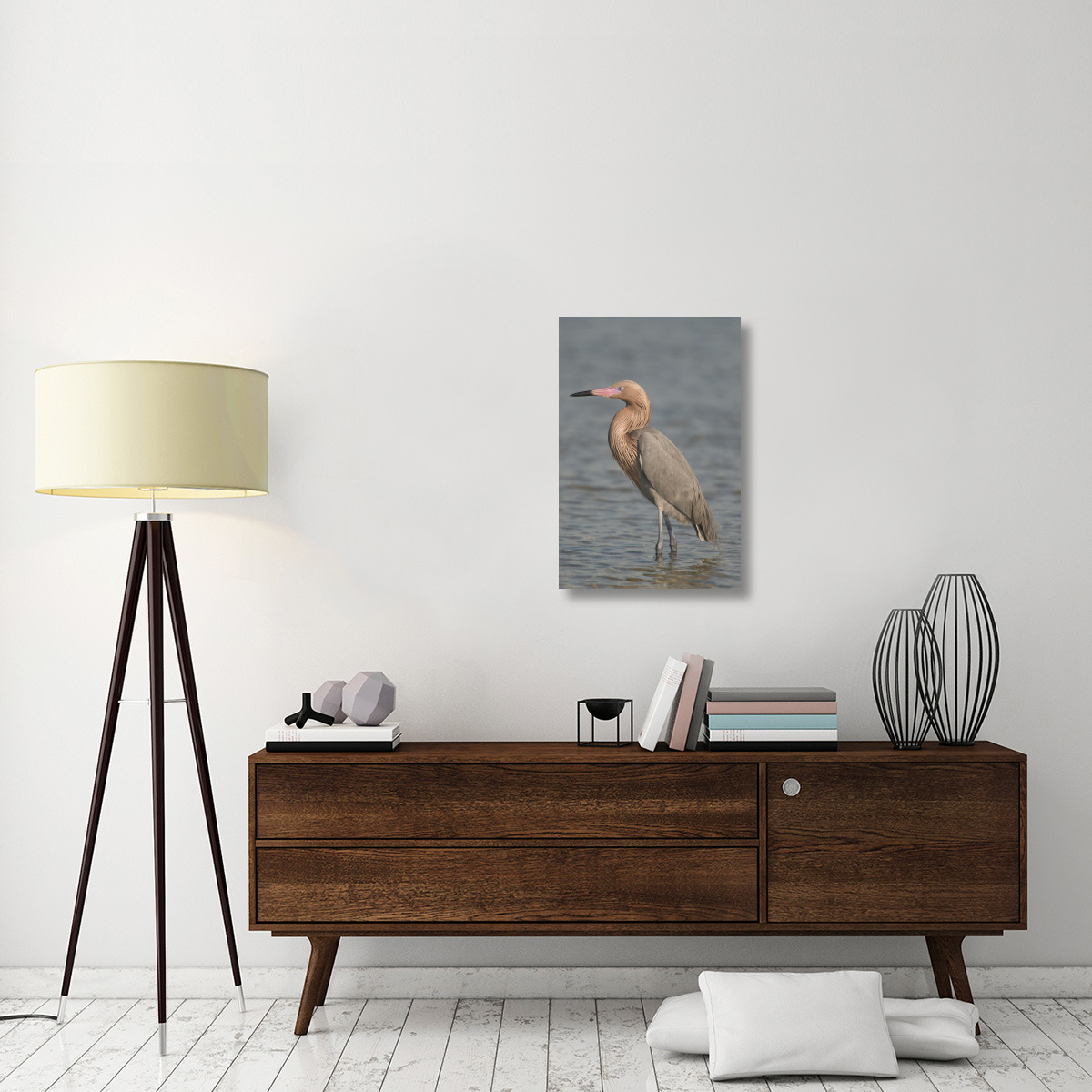 Reddish Egret, Fort Desoto Park, Florida-Canvas Art-20&quotx30"